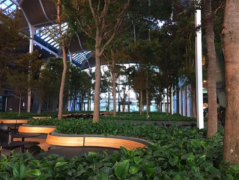 Trees in the Atrium at Crowne Plaza Copenhagen Towers